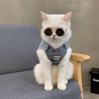 猫咪衣服样板
