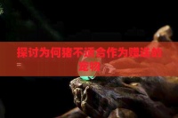 探讨为何猪不适合作为赠送的宠物