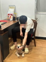 广州52岁女子立遗嘱十几万元留给4只宠物狗 中华遗嘱库：具备法律效力