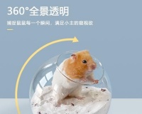仓鼠的趴尿行为与习性（探讨仓鼠为何喜欢趴尿及如何管理）