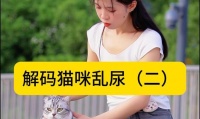 猫咪乱拉乱尿的原因及解决方法（为什么猫咪会乱拉乱尿？如何解决这个问题？）
