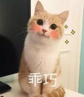 宠物界的“大牌驾到”,你get到京宠展的最新玩儿法了吗?