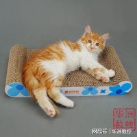 华洲数控全国首发双工位猫抓板数控切割设备广泛被客户认可