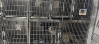 宠物医院、宠物洗护、宠物造型、宠物寄养、宠物用品、24h急诊、宠物绝育