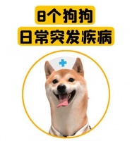 狗狗健康（掌握狗狗体征，保障其健康与幸福）
