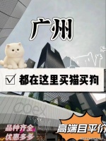 广州买阿拉斯加犬的价格地方？广州正规买阿拉斯加犬基地，买阿拉斯加犬的好去处！