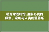 萌宠家咖啡馆,治愈心灵的绿洲，宠物与人类的温馨乐园