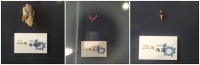 安小安看展览（三）：人类恶趣味下的龟龟