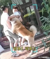 别人挨咬的时候他在旁边看戏轮到自己头上了，才知道哭爹喊娘