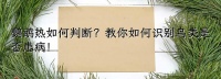鹦鹉热如何判断？教你如何识别鸟类是否患病！