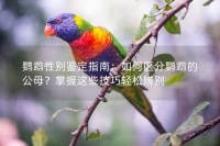 鹦鹉性别鉴定指南：如何区分鹦鹉的公母？掌握这些技巧轻松辨别