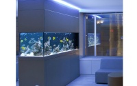 丽江家庭鱼缸订做「云南鲸涛水族鱼缸海鲜池定制供应」