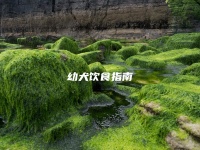 幼犬饮食指南