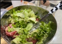 小猫咪可以吃的水果和蔬菜有什么