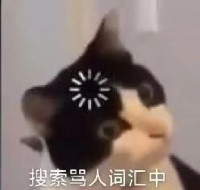 20张猫咪表情包可爱图片大全2023最新版