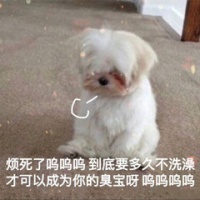 一组可爱的猫猫动图表情包