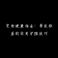 宠物健康指南：兽医推荐的实用护理技巧