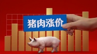 一夜起飞，猪价涨得“一塌糊涂”！附：8月5日猪价行情