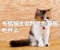 比特宠物吧 宠物资讯 句子 祝福语大全