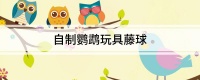 自制鹦鹉玩具藤球