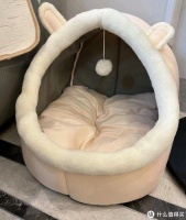 新手养猫要注意什么？