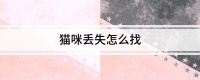 猫咪丢失怎么找
