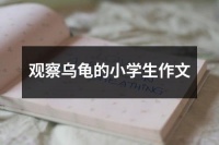 观察乌龟的小学生作文（集锦20篇）