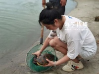 一年卖出500000只！海宁女子养起了乌龟，竟做成了大生意！