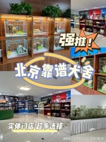 北京哪里有正规宠物基地?这里安全可靠还能实地选宠物不虚此行