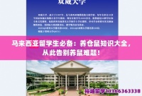 马来西亚留学生必备：养仓鼠知识大全，从此告别养鼠难题！