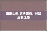 萌宠头像,定格萌态，诠释生命之美