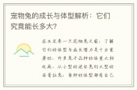 宠物兔的成长与体型解析：它们究竟能长多大？
