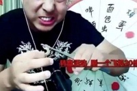 蜥蜴能吃多少钱（宠物蜥蜴饲养指南）