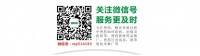 【兔子品种介绍及图片大全】