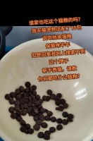 鸭子误食猫粮该如何处理？如何防止鸭子吃猫粮？