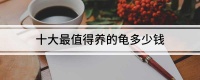 十大最值得养的龟多少钱