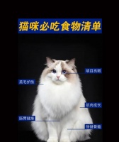 猫咪除了猫粮还能吃什么作为主食？有哪些选择？