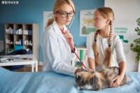 猫咪疫苗：每年打疫苗的重要性与双十一避坑指南