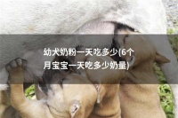 幼犬奶粉一天吃多少(6个月宝宝一天吃多少奶量)