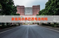 家庭风水养巴西龟吉利吗？解析养龟的风水宜忌