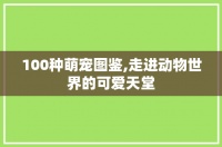 100种萌宠图鉴,走进动物世界的可爱天堂
