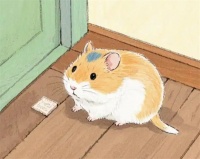 探索仓鼠的魅力：全面了解仓鼠的优缺点及饲养指南