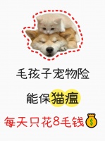 铲屎官必入！这款神仙宠物保险YYDS！