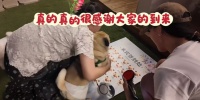 00后女生为宠物狗举办婚礼，参照人类婚礼流程：走红毯、致辞、吃席，婚礼持续3小时，30组养狗家庭参加
