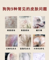 宠物皮肤病——了解常见问题及预防方法（探索宠物皮肤病的症状、原因和治疗方法）宠物屋