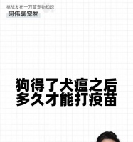 养狗必知！疫苗接种的重要性与注意事项（宠物健康的守护者，疫苗接种是关键）