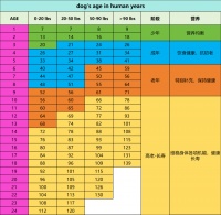 分阶喂养，长久陪伴：比乐解析老年犬养护与分阶喂养的必要性