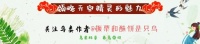 养鸟人必读：春冬交替是鸟感冒高发期，学会辨别和治疗很重要