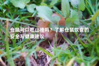 仓鼠可以吃山楂吗？了解仓鼠饮食的安全与健康建议