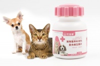 养猫保健品避雷指南：维生素 / 钙片 / 鱼油到底怎么选？